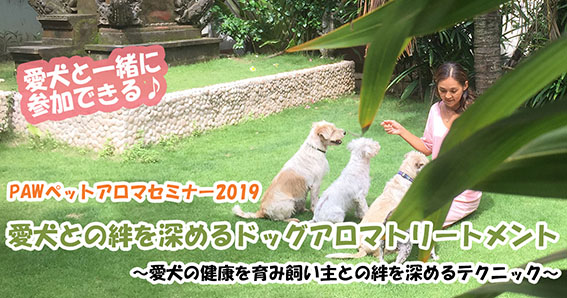 愛犬との絆を深めるドッグアロマトリートメント