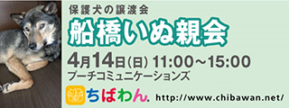 4月14日ちばわん『船橋いぬ親会』開催のご案内