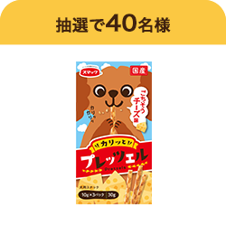 プレッツェル チーズ味