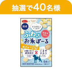 ふわっとお米ぼーる　成犬用カマンベールチーズ味