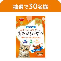 エブリデンタ猫用かつお味