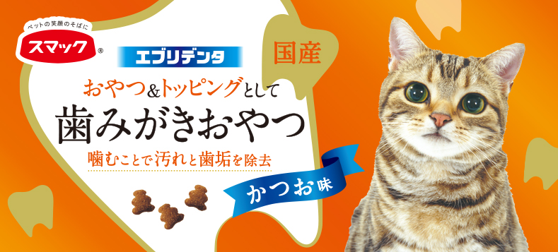 エブリデンタ猫用かつお味