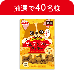 グルテンフリークッキー　チーズ味