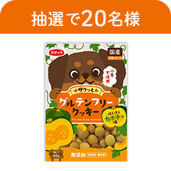 グルテンフリークッキー　カボチャ味