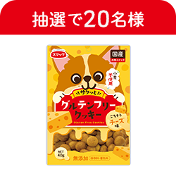 グルテンフリークッキー　チーズ味