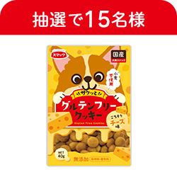 グルテンフリークッキー　チーズ味