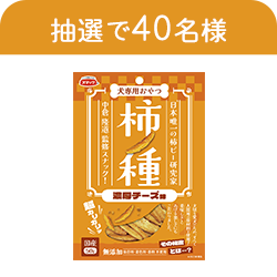 柿ノ種　濃厚チーズ味　50g