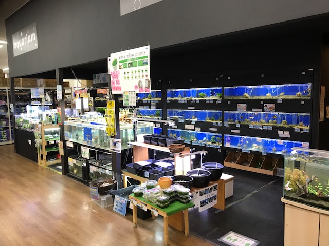 ペットプラザ八尾楠根店 ペット検索 ペット大好き