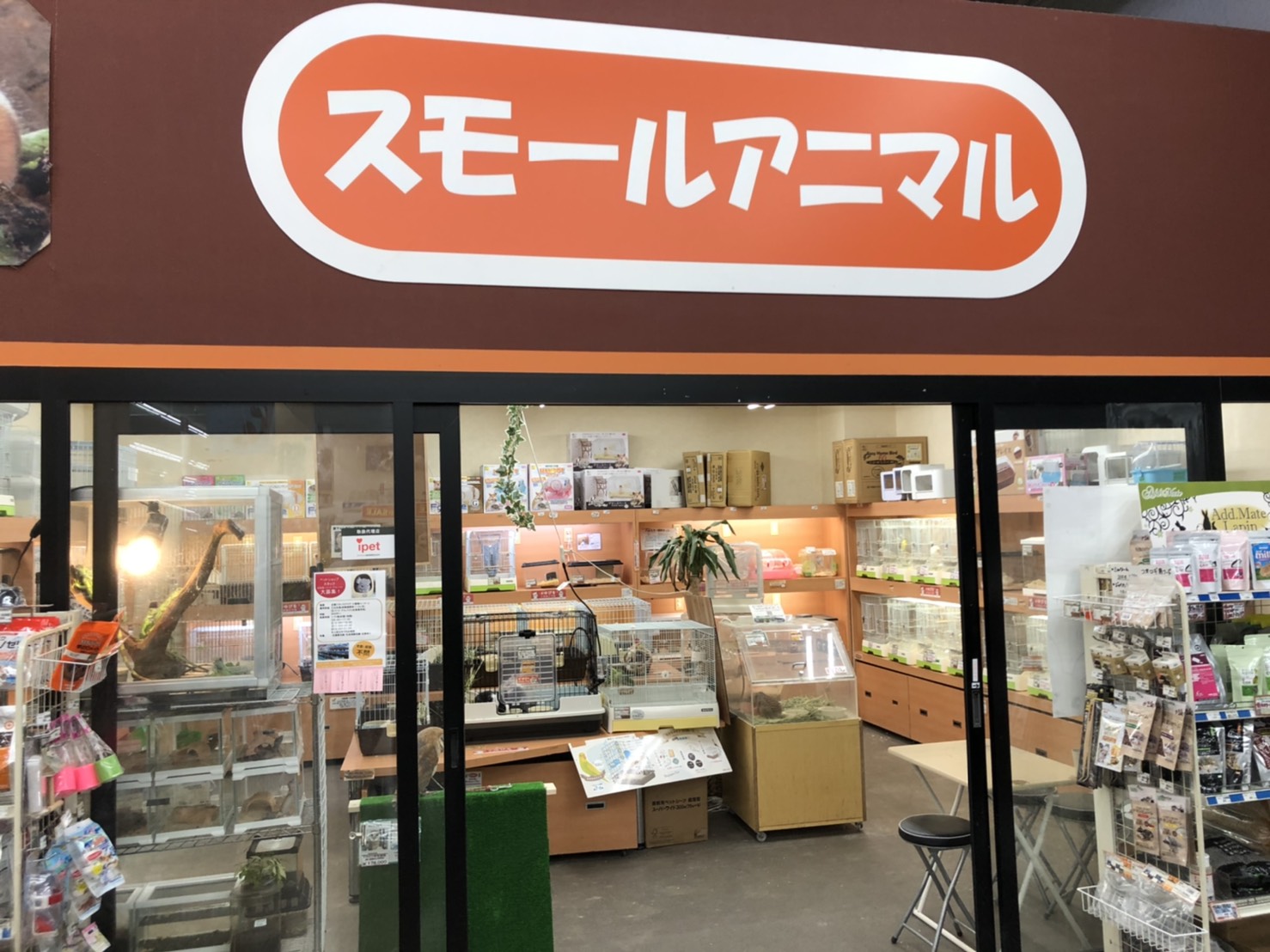 ペットプラザ市川原木店 犬猫コーナー ペット検索 ペット大好き
