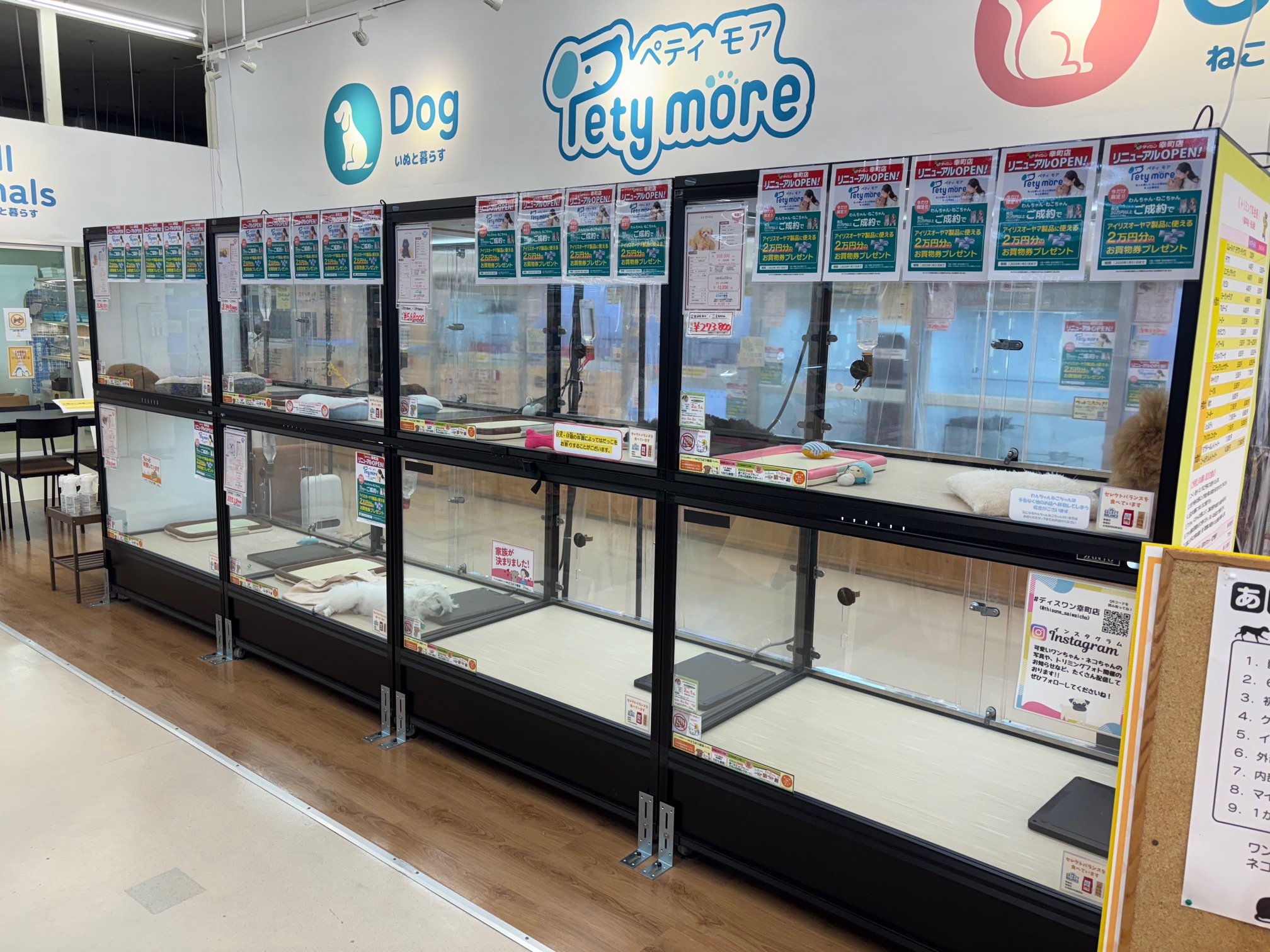 ダイシン 幸 町
