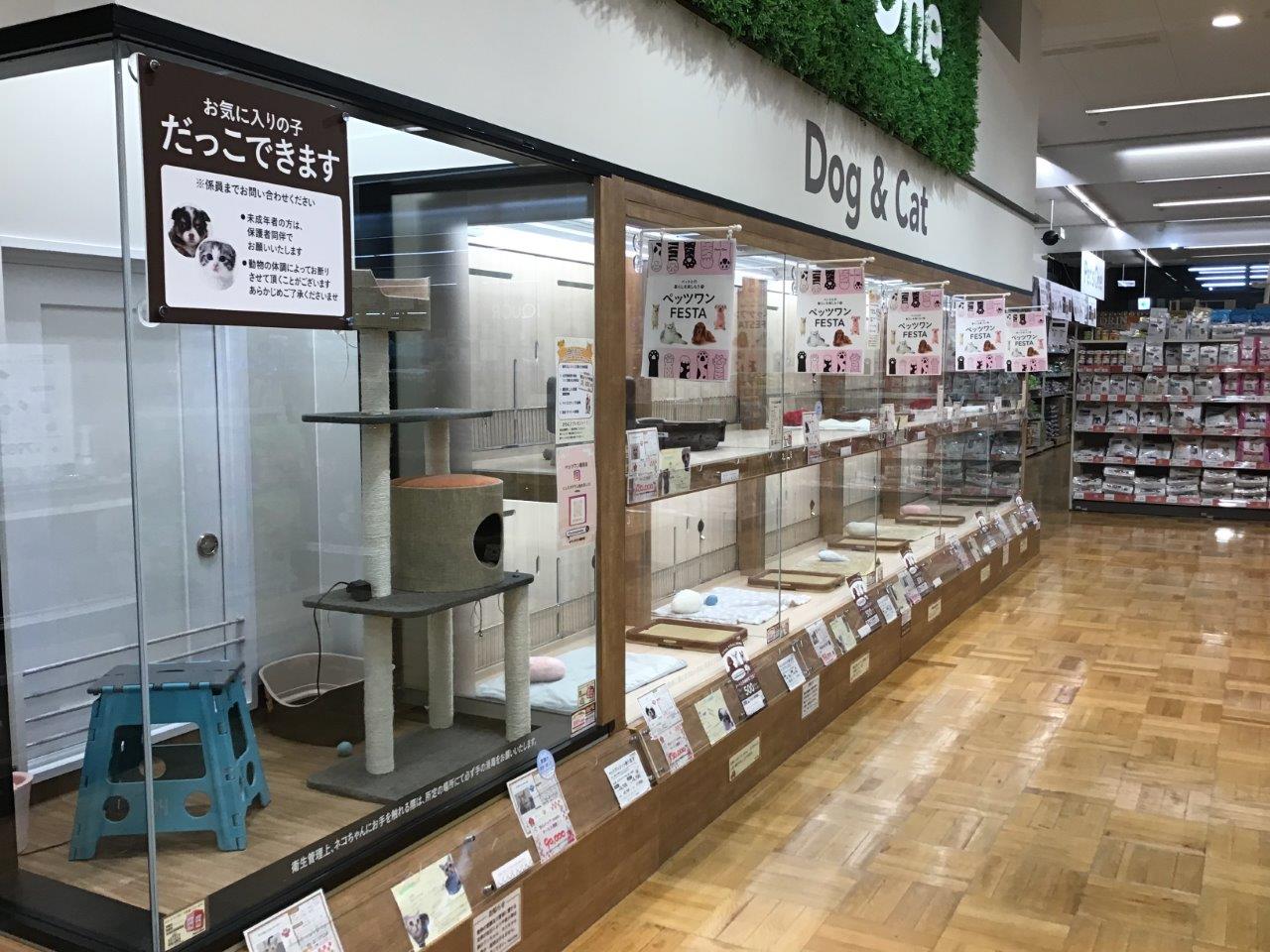 ペッツワン磐田店 ペット検索 ペット大好き ペッツワン磐田店 ペット検索 ペット大好き