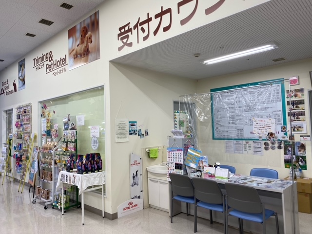 ドッグ キャッツ稲里店 ペット検索 ペット大好き ドッグ キャッツ稲里店 ペット検索 ペット大好き
