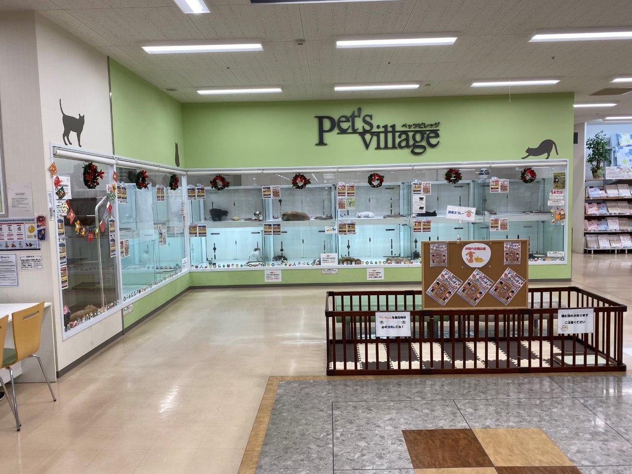 ペッツビレッジ刈谷店｜ペット検索｜ペット大好き！
