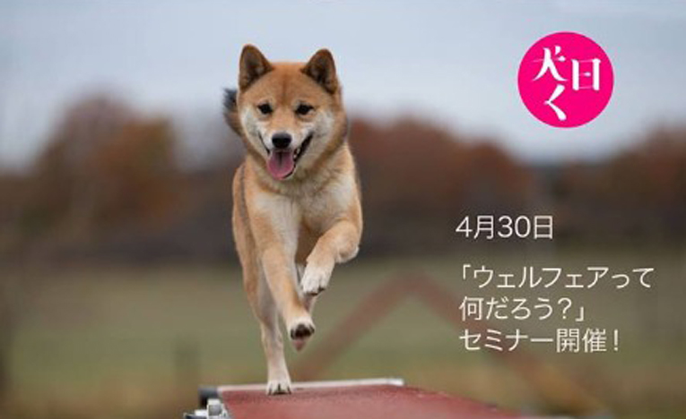 特別セミナー「あなたは幸せ？犬は幸せ？～ウェルフェアって何だろう？」