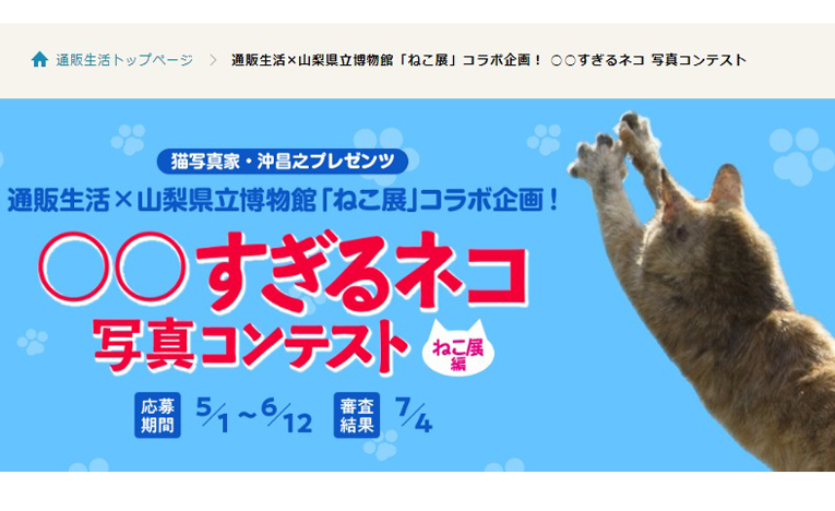 「ねこ展」と通販生活「○○すぎるネコ」フォトコンテストがコラボ