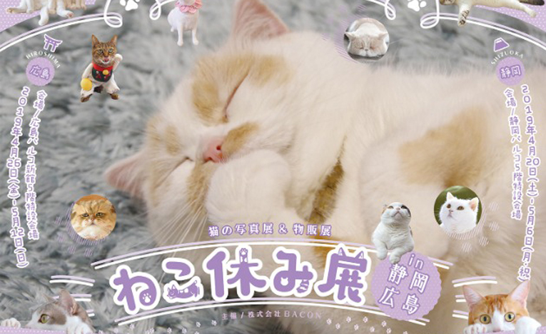 スター猫たちの春コレ解禁「ねこ休み展」、静岡と広島で開催中！