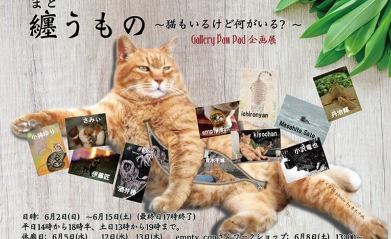 ギャラリー主催の企画展、猫だけど猫っぽくない猫が大集合！