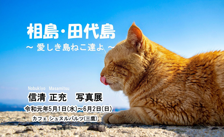 8Kのように美しい業界初の両面プリントが観られる島ねこの写真展、三鷹で