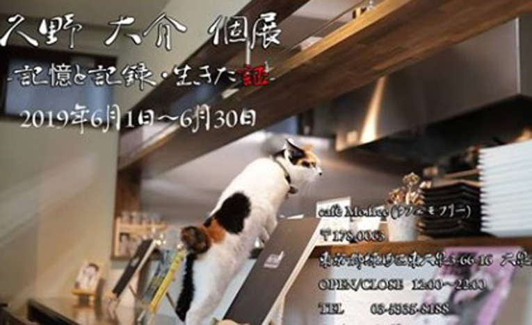 猫写真家・久野大介氏個展「記憶と記憶・生きた証」、練馬で1ヶ月開催