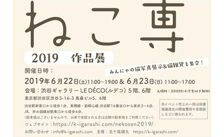 猫の合同写真展「ねこ専」2019渋谷、猫をモチーフにした作品が集合