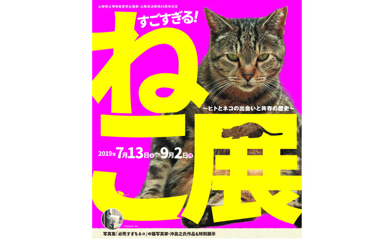 すごすぎる猫の「ヒトと猫の関係を出土品や工芸品などの資料で振り返る