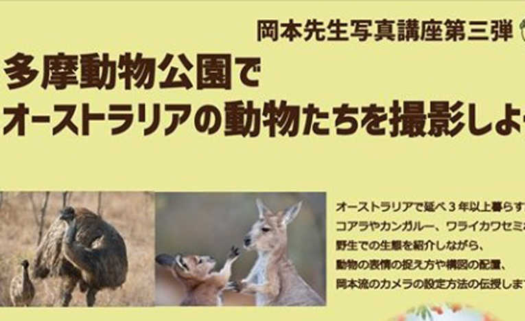 多摩動物公園でオーストラリアの動物の生態解説付きで写真教室開催