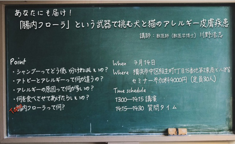アレルギー専門の獣医師から犬猫の皮膚疾患について学べるセミナー開催