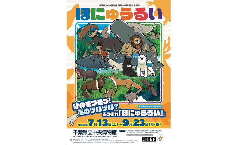 陸のモフモフ！海のツルツ？あつまれ！企画展「ほにゅうるい」