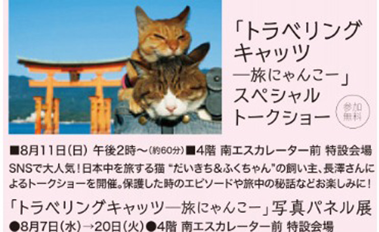 8月8日の「世界猫の日」にあわせ、大丸梅田店が全館“猫だらけ"イベント