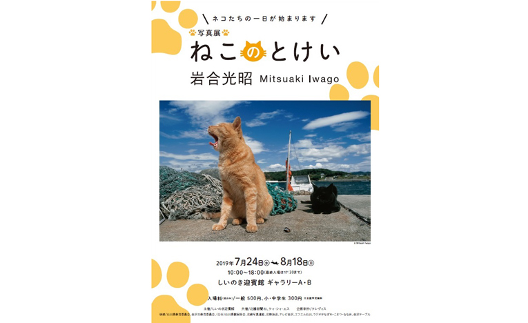 ＼猫たちの１日が始まります／岩合光昭ミニ写真展「ねこのとけい」金沢で