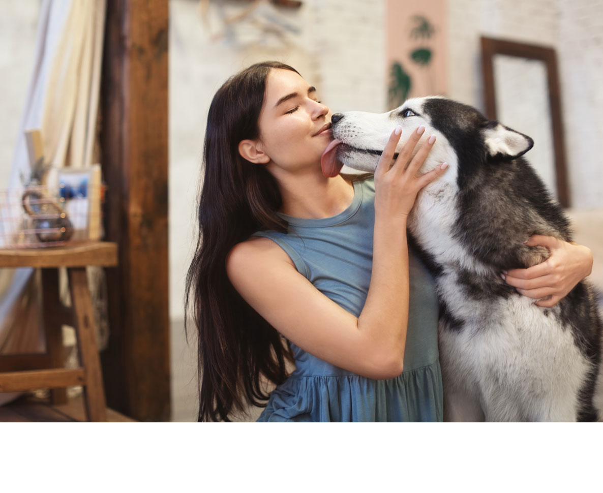 どうして犬は飼い主の顔を舐めるの ワールドペットニュース ペット大好き