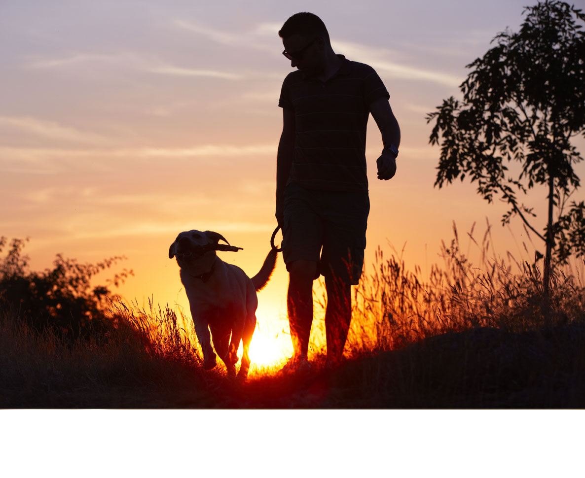 2021年アメリカで流行った犬の名前ランキング