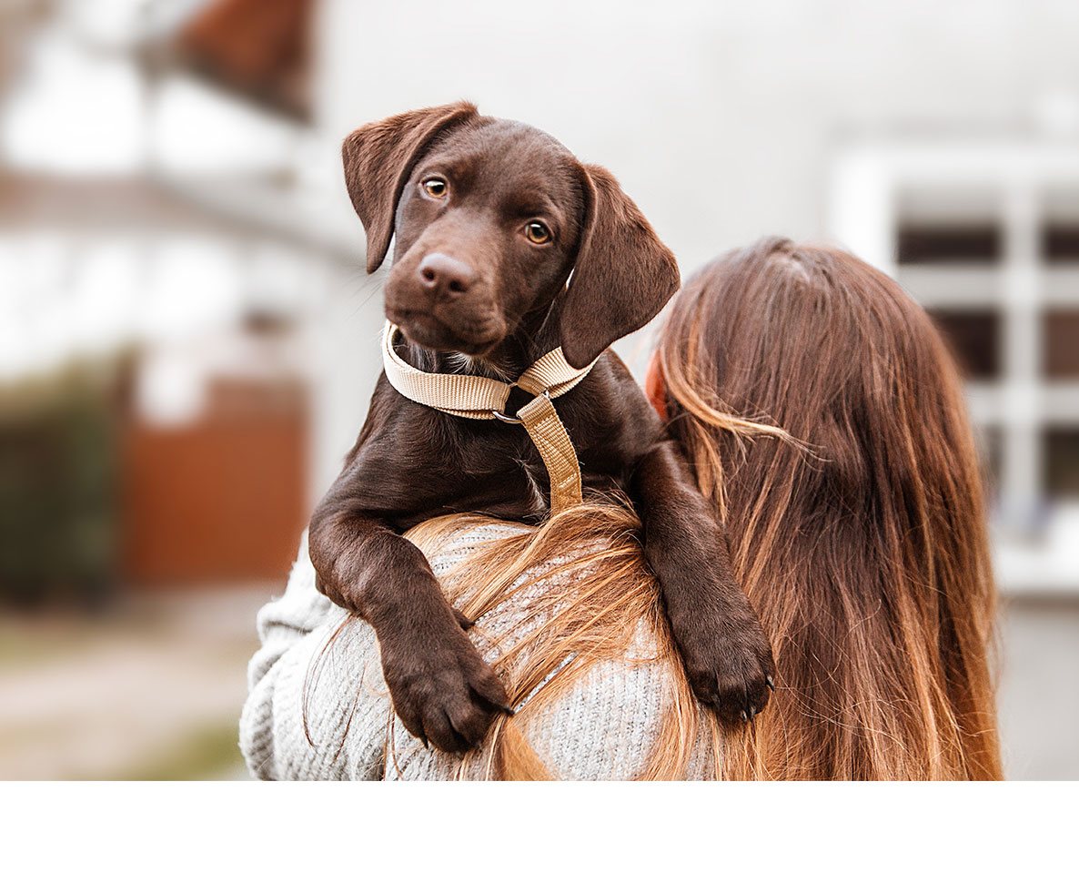 SNSで話題の「飼い主が愛犬に吠える」行為は真似しないで