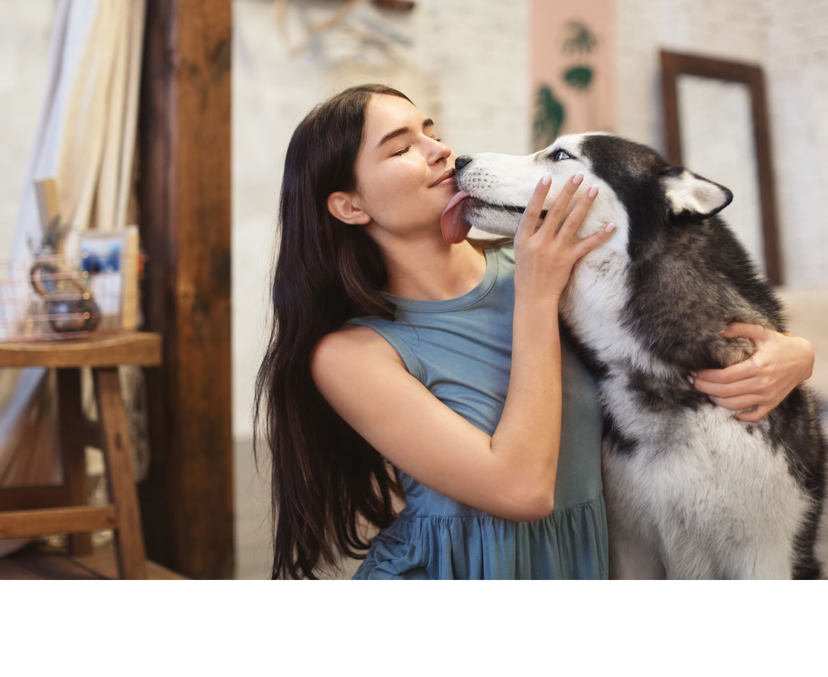 犬恐怖症だった女性が運命の犬と世界中を冒険