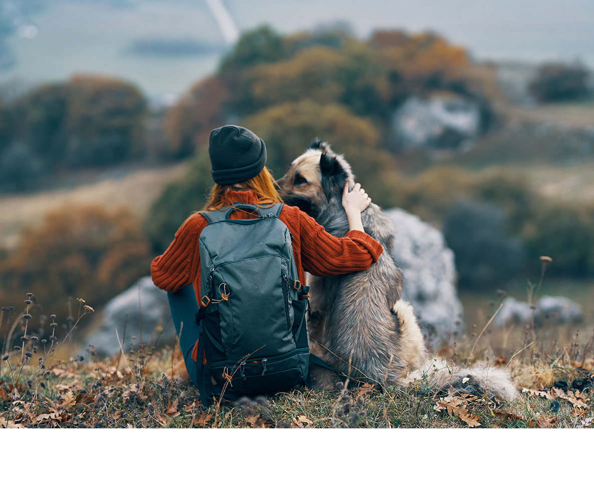「靴下の臭い」のおかげで93歳男性が迷子の犬と再会
