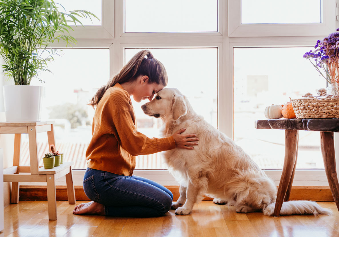 愛犬に顔を噛まれ、重傷を負った美女が社会復帰するまで
