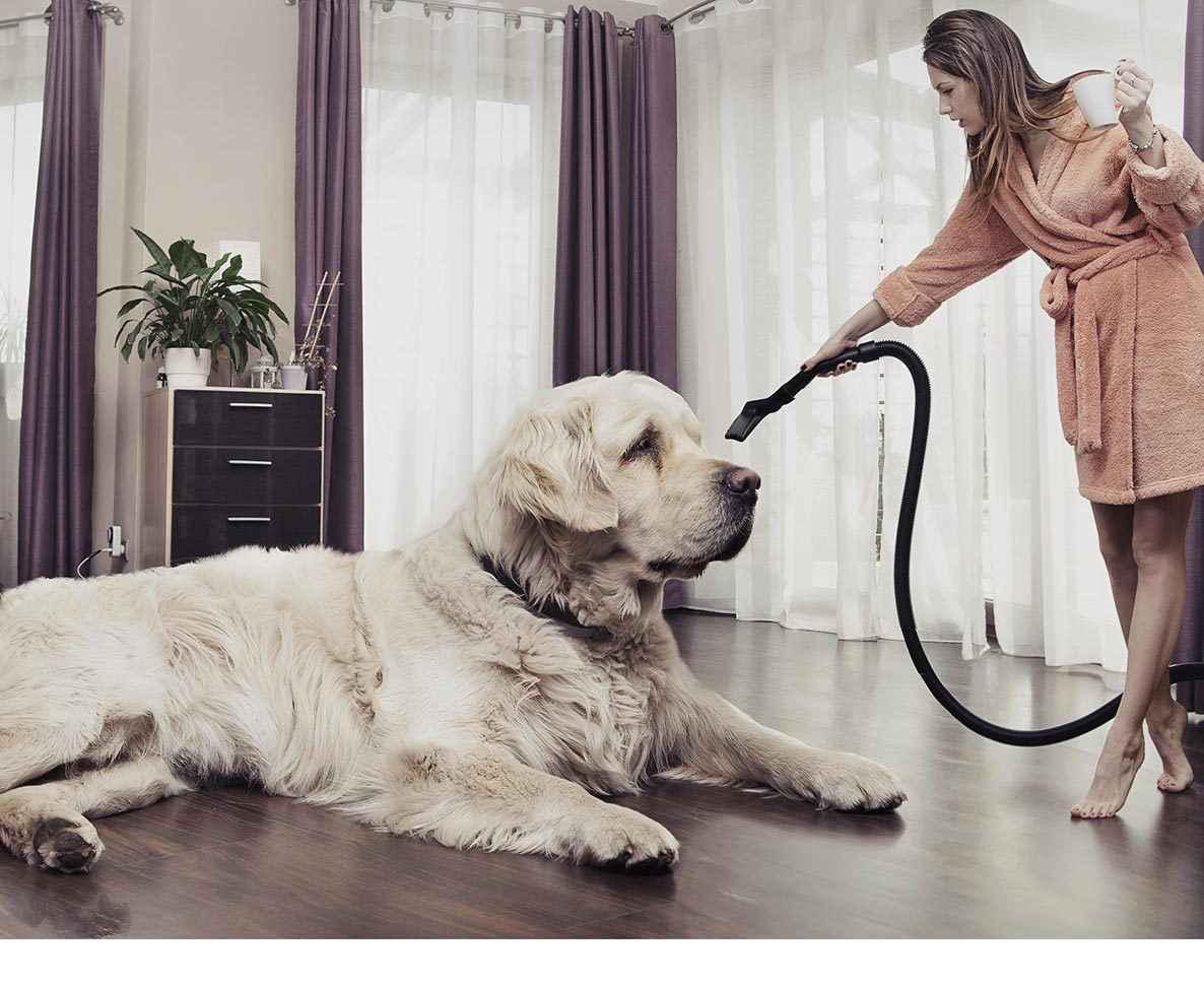 犬同伴で友人宅に泊まったら、あとから請求書が