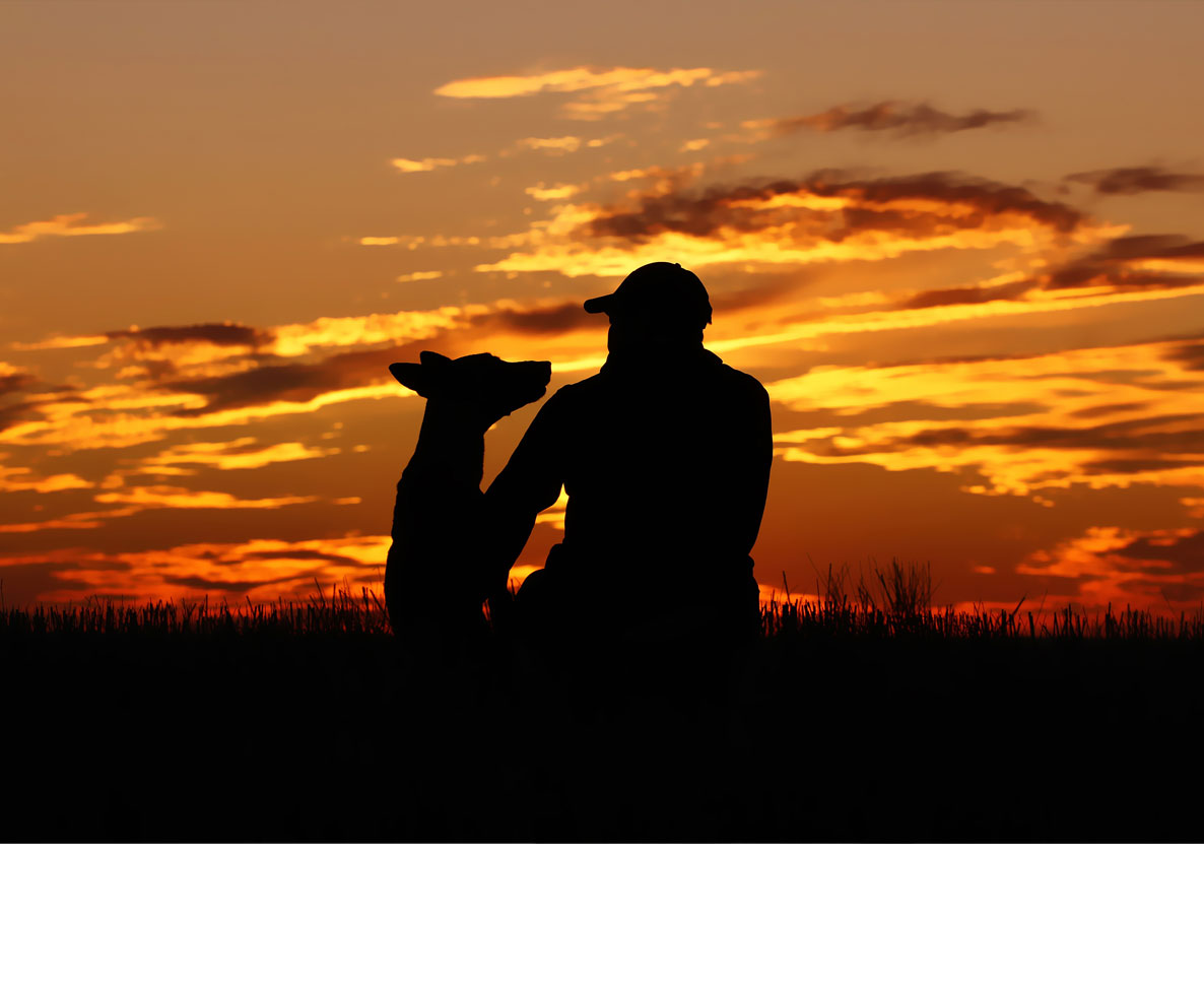 国土が広大なアメリカ、今やドローンなしでの迷子犬捜索は不可能？