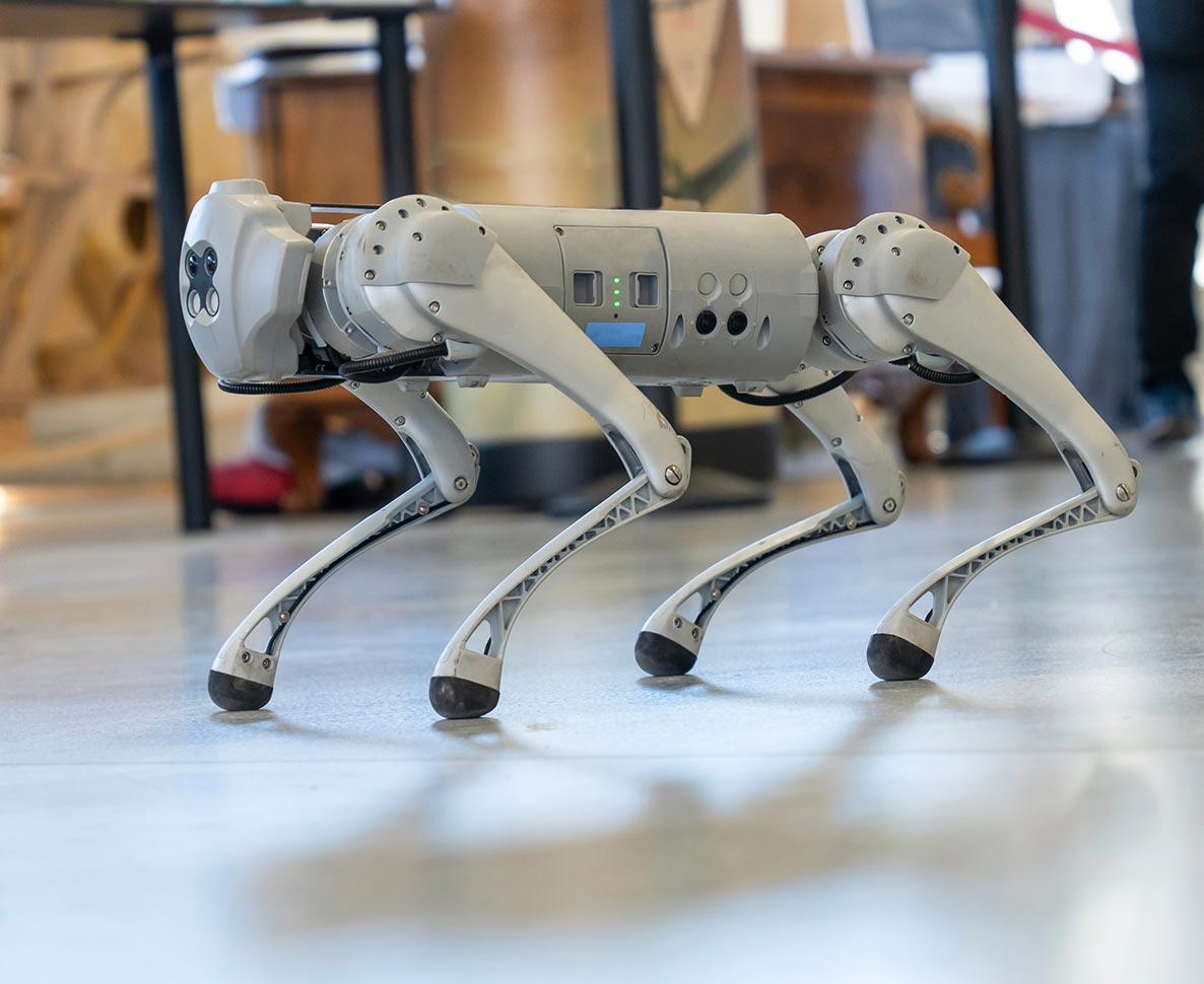 ロボット犬に遭遇し、固まってしまったレトリバー