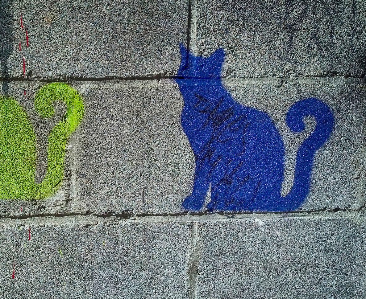 なにがあったの！？外出していた猫が青色になって帰ってきた