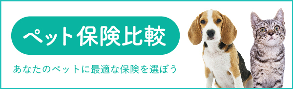 ペット保険比較　あなたのペットに最適な保険を選ぼう